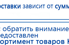 СКЭНАР-1-НТ (исполнение 01)  купить в Минеральных Водах, Аппараты Скэнар купить в Минеральных Водах, Скэнар официальный сайт - denasvertebra.ru